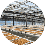 Ingredient-and-Supply-Sourcing-1200x628