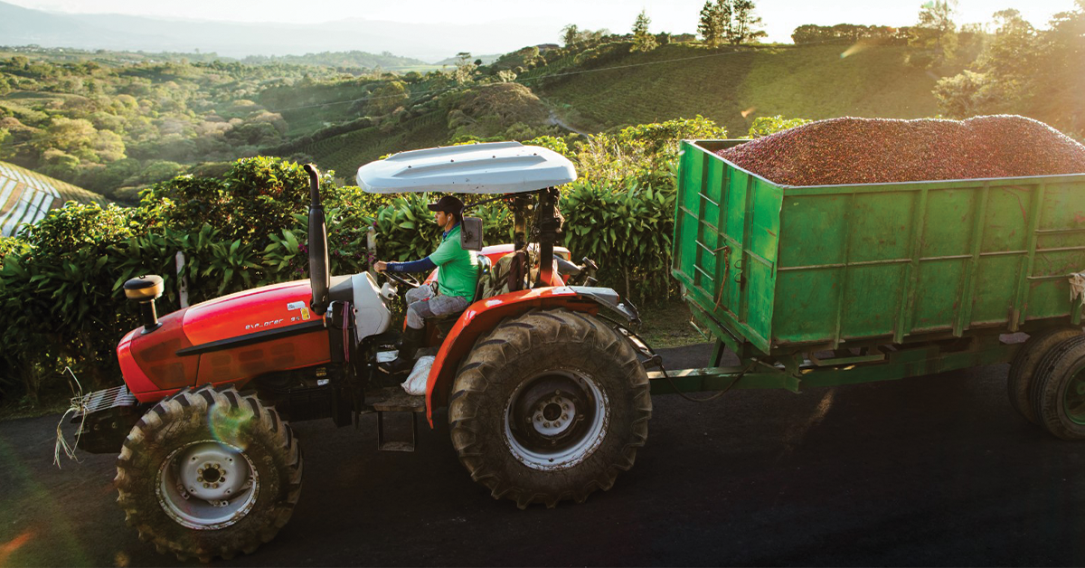 Starbucks-Farm-1200x628