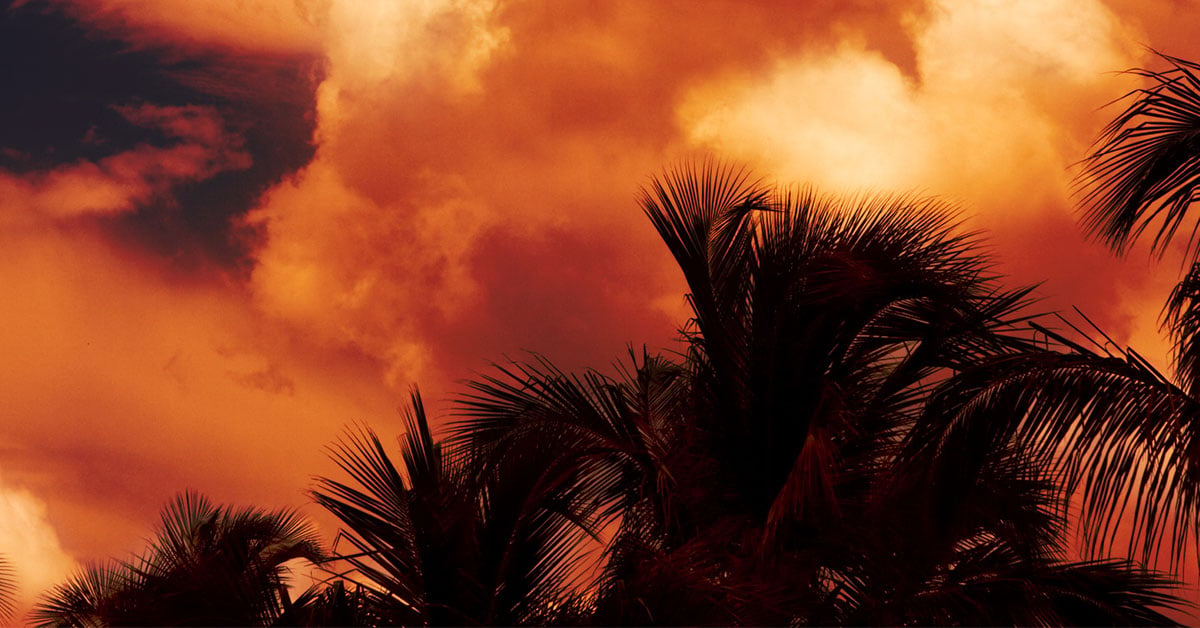 Vivid-red-sky-over-palm-trees-1200x628