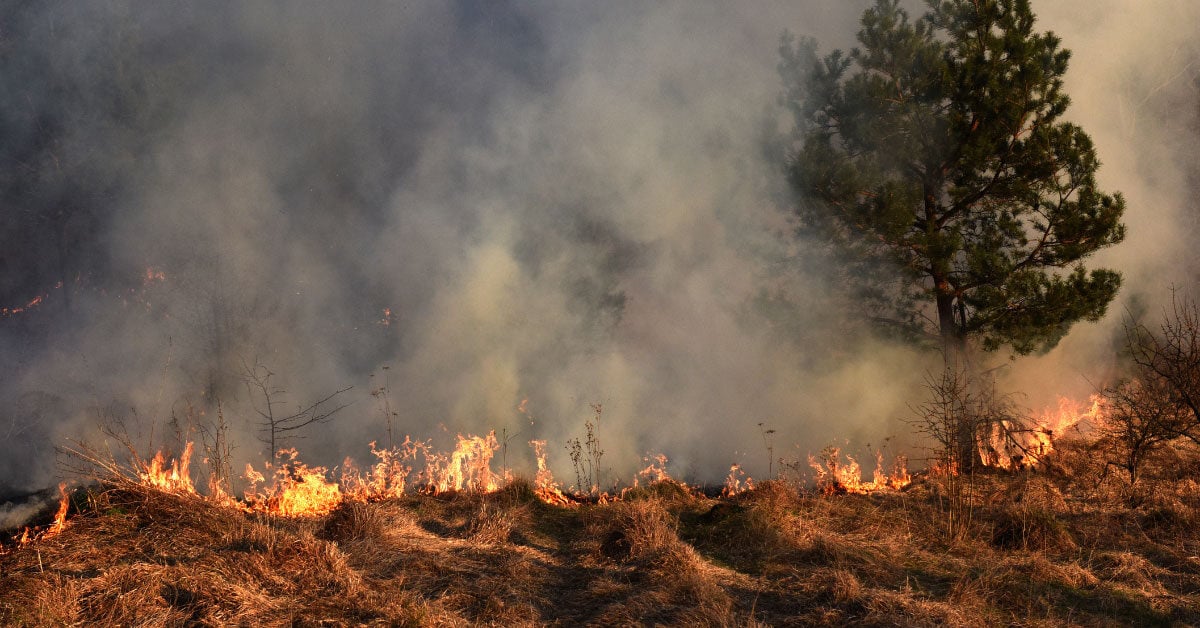 Food Chain Support for Southern California Fire Relief